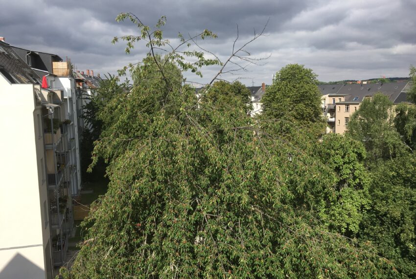 Ausblick-vom-Schlafzimmer