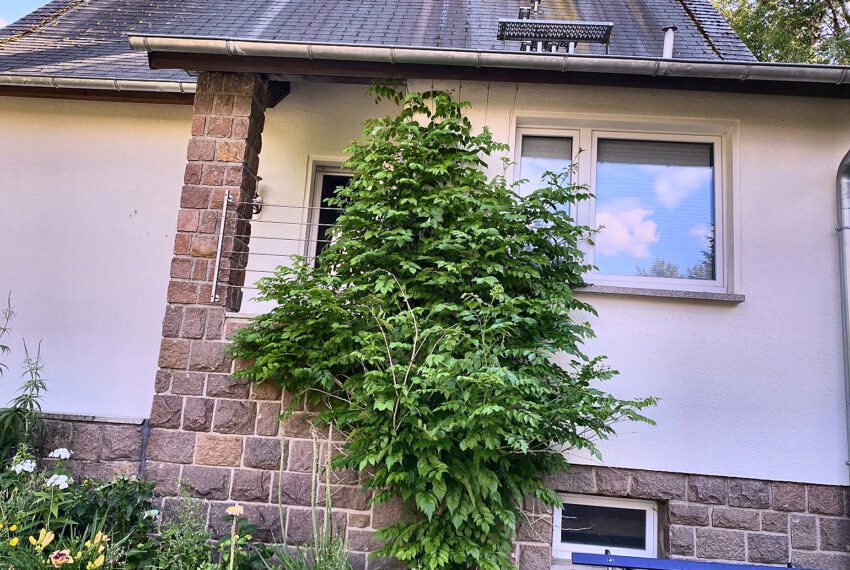04_Fassadendetail_optimiert
